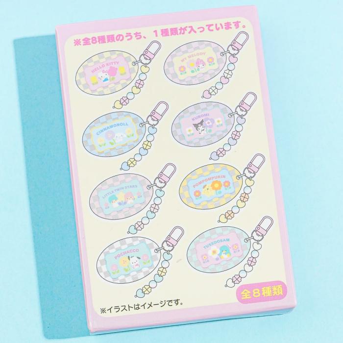 Blind Boxes |  Sanrio Characters Pastel Checker Acrylic Charm Blind Boxes Blind Boxes